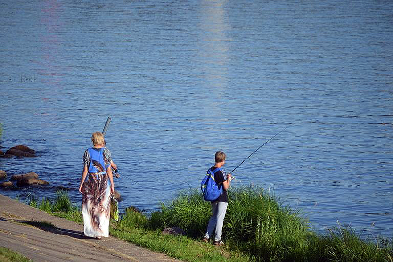 В День физкультурника в Твери поймали щук и окуней и отпустили
