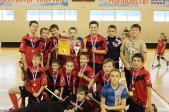 Флорбол в ЗАТО Озерный оказался под запретом