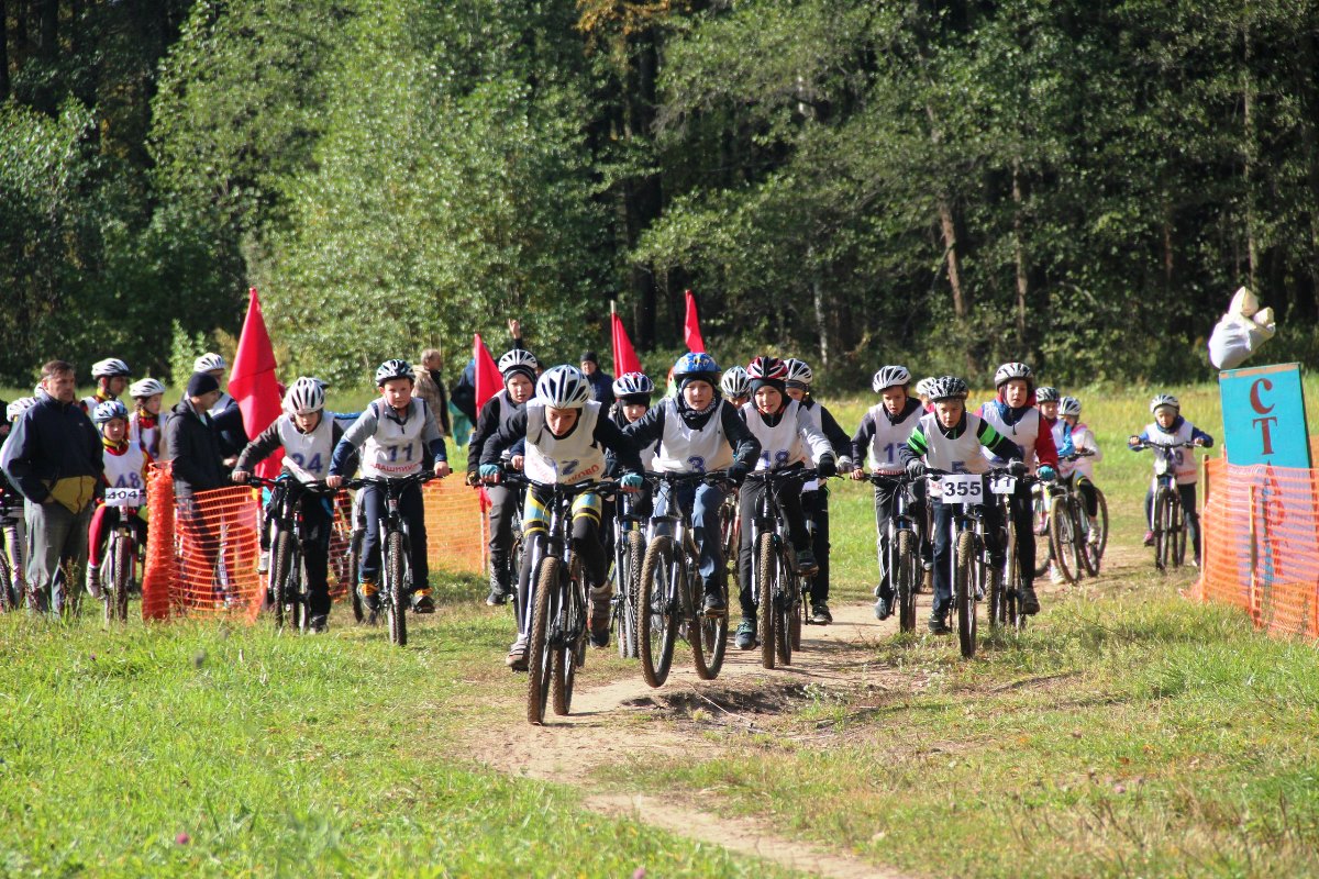 Спорт тверской области