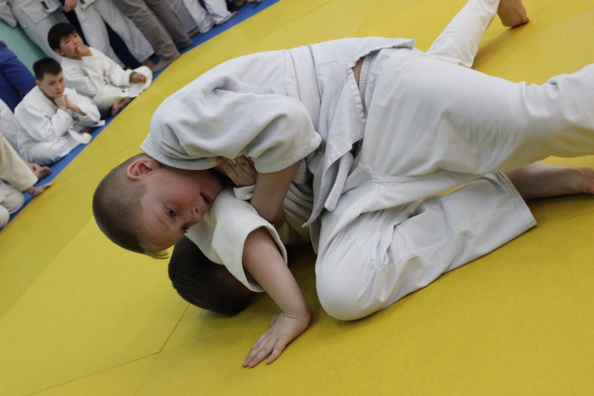 В Торжке прошел турнир, посвященный Всемирному дню дзюдо
