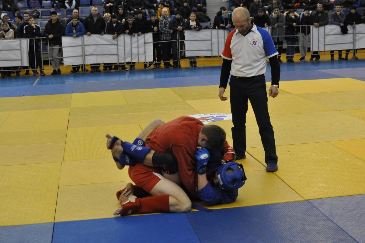 Тверские самбисты Виталий Молюшкин и Дмитрий Излегощев – призеры первенства мира