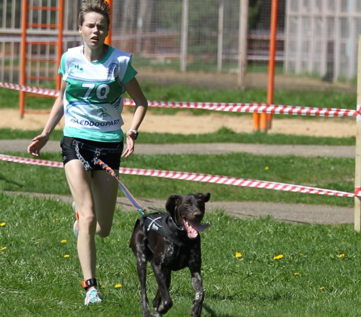 С собакой веселей ездить, бегать и побеждать: тверские спортсмены – призеры «Весеннего драйва-2018»