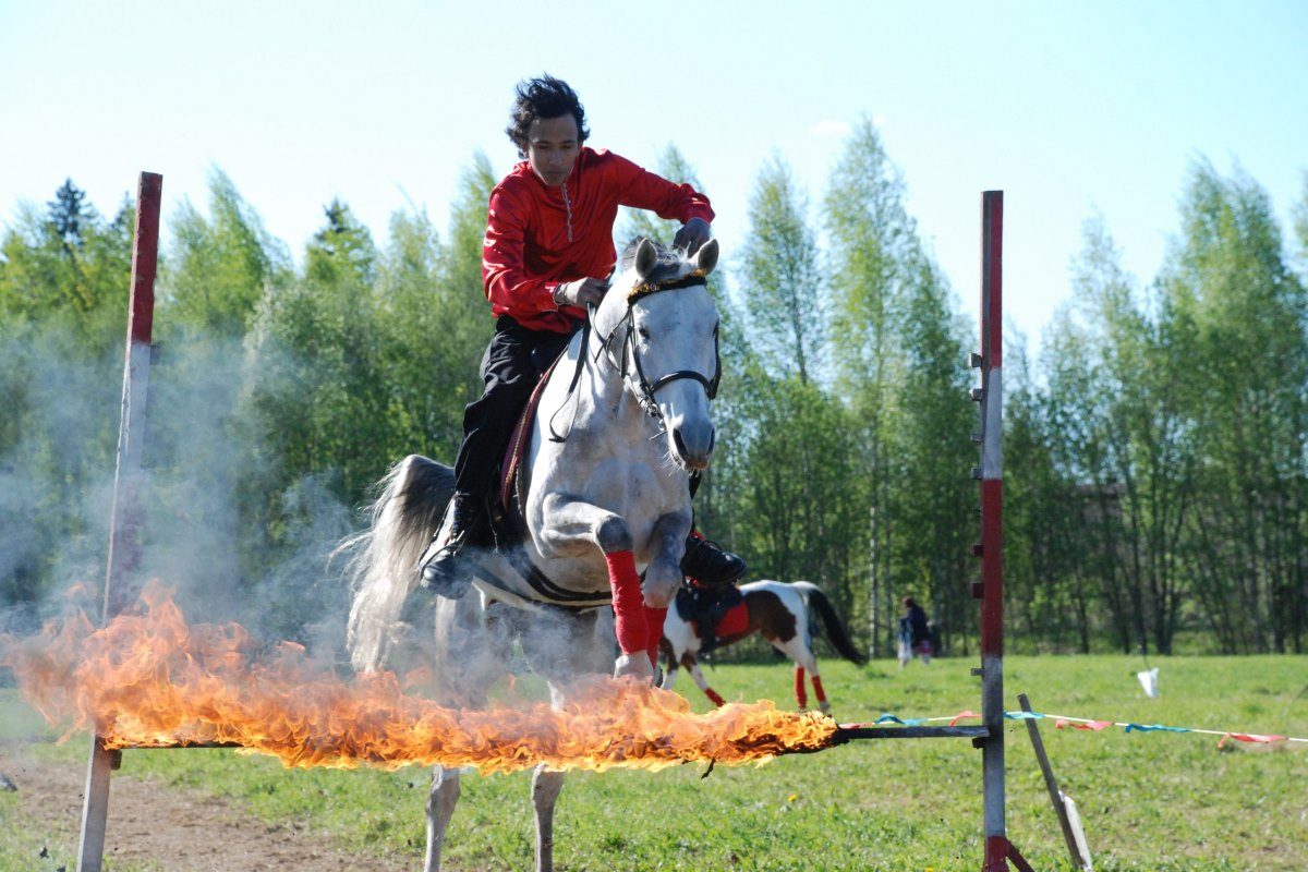 Твери покажут аланскую езду и прыжки на лошадях через огненные препятствия
