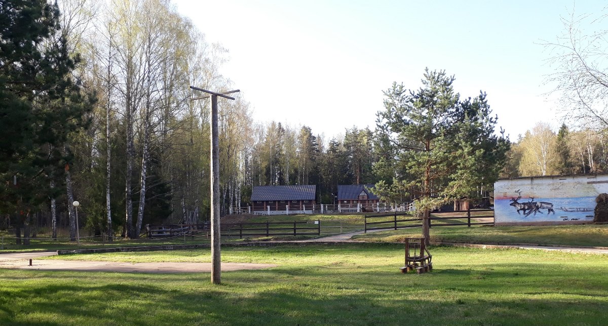 В Тверской области «Кросс Нации» впервые планируется провести в лесу