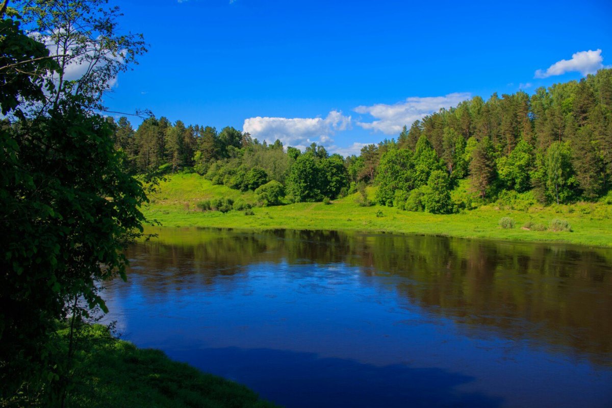 В Тверской области «Кросс Нации» впервые планируется провести в лесу