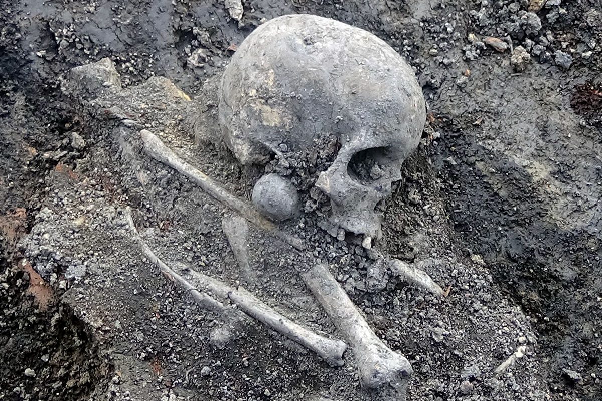 Археологи раскрыли тайну черепов на тверском стадионе «Химик»