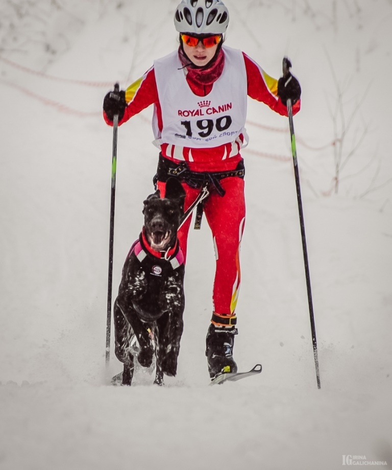 Анастасия Страгулина и ее собака Гертруда стали призерами первенства Санкт-Петербурга по зимним видам ездового спорта