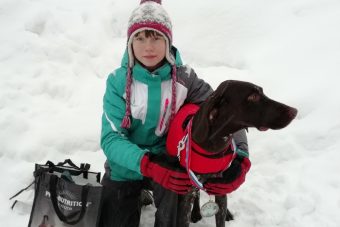 Анастасия Страгулина и ее собака Гертруда стали призерами первенства Санкт-Петербурга по зимним видам ездового спорта