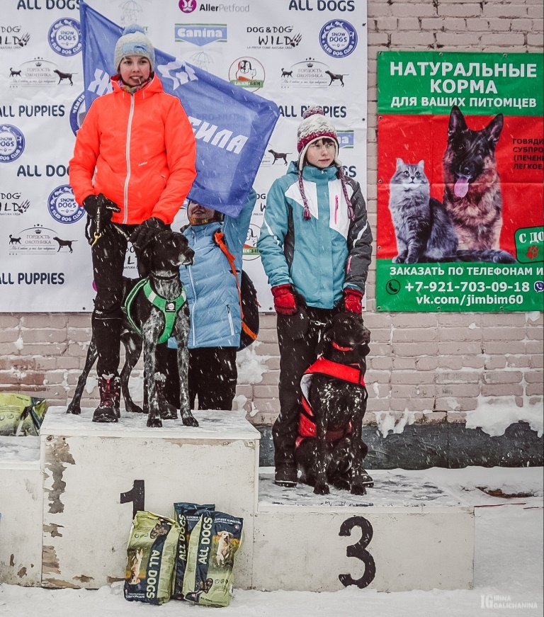 Анастасия Страгулина и ее собака Гертруда стали призерами первенства Санкт-Петербурга по зимним видам ездового спорта