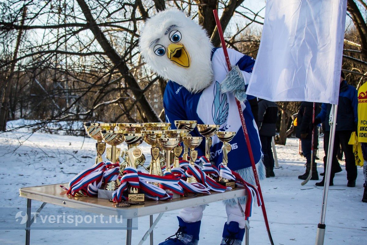 Чтобы провести «Хоккей на Волге-2019», организаторам не хватило 50 тысяч рублей