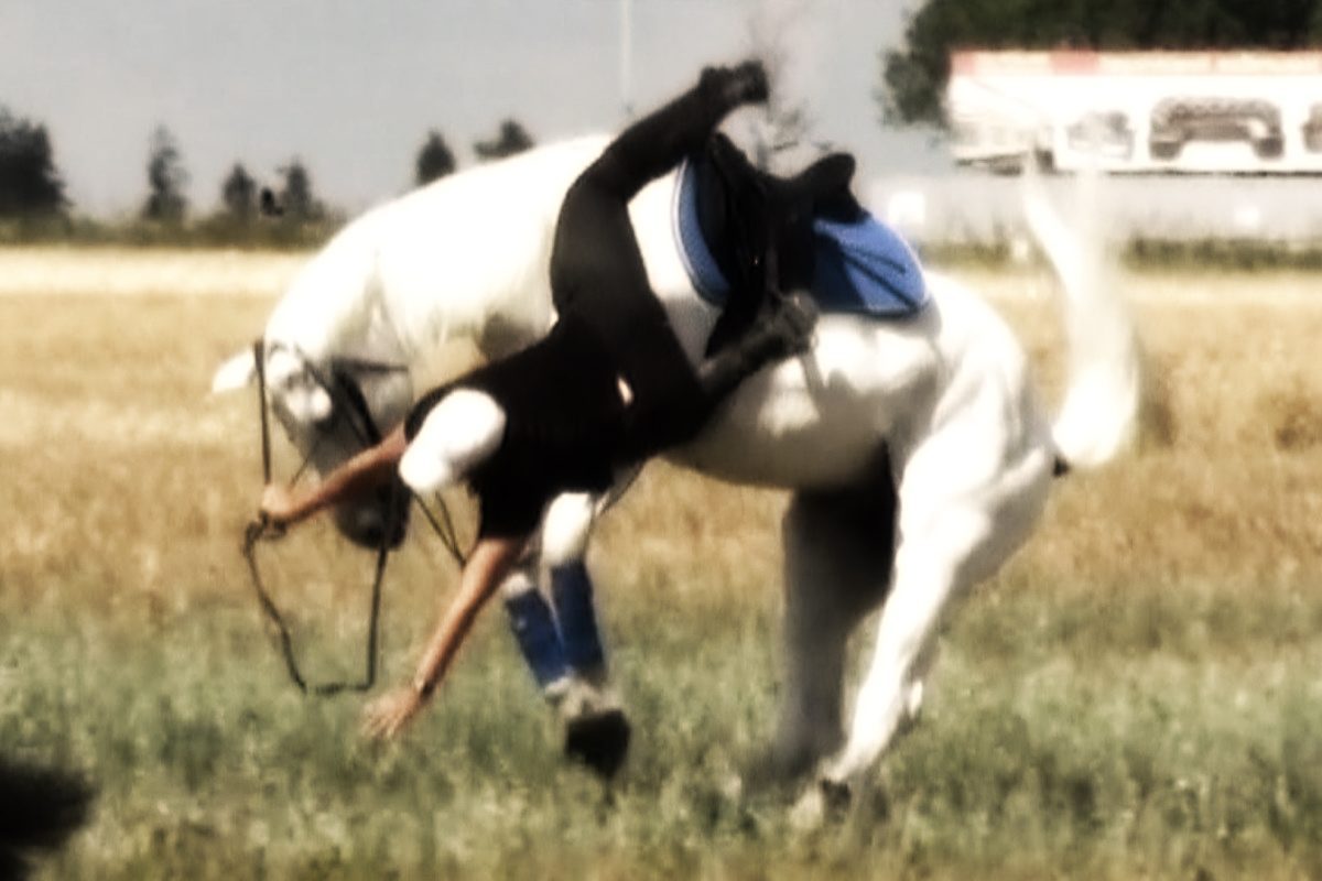 В Тверской области  инструктор по конному спорту признана виновной в причинении тяжкого вреда по неосторожности