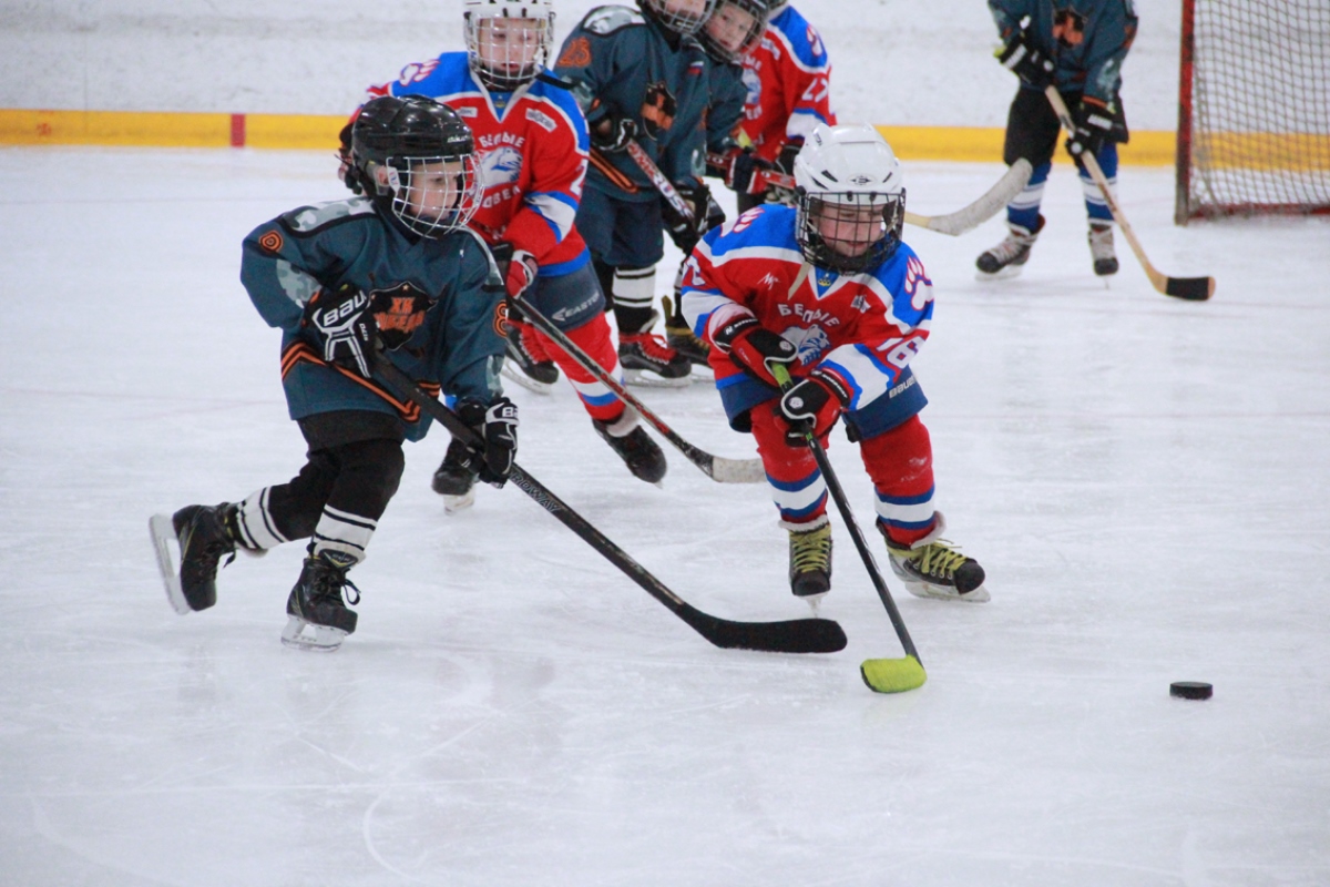 Трек хоккей. Ивантеевка хоккей. Турнир Лидеры хоккея 2019. ЛСК Лидер. Track Hockey.