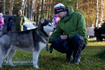 В Тверской области прошло первенство России по ездовому спорту