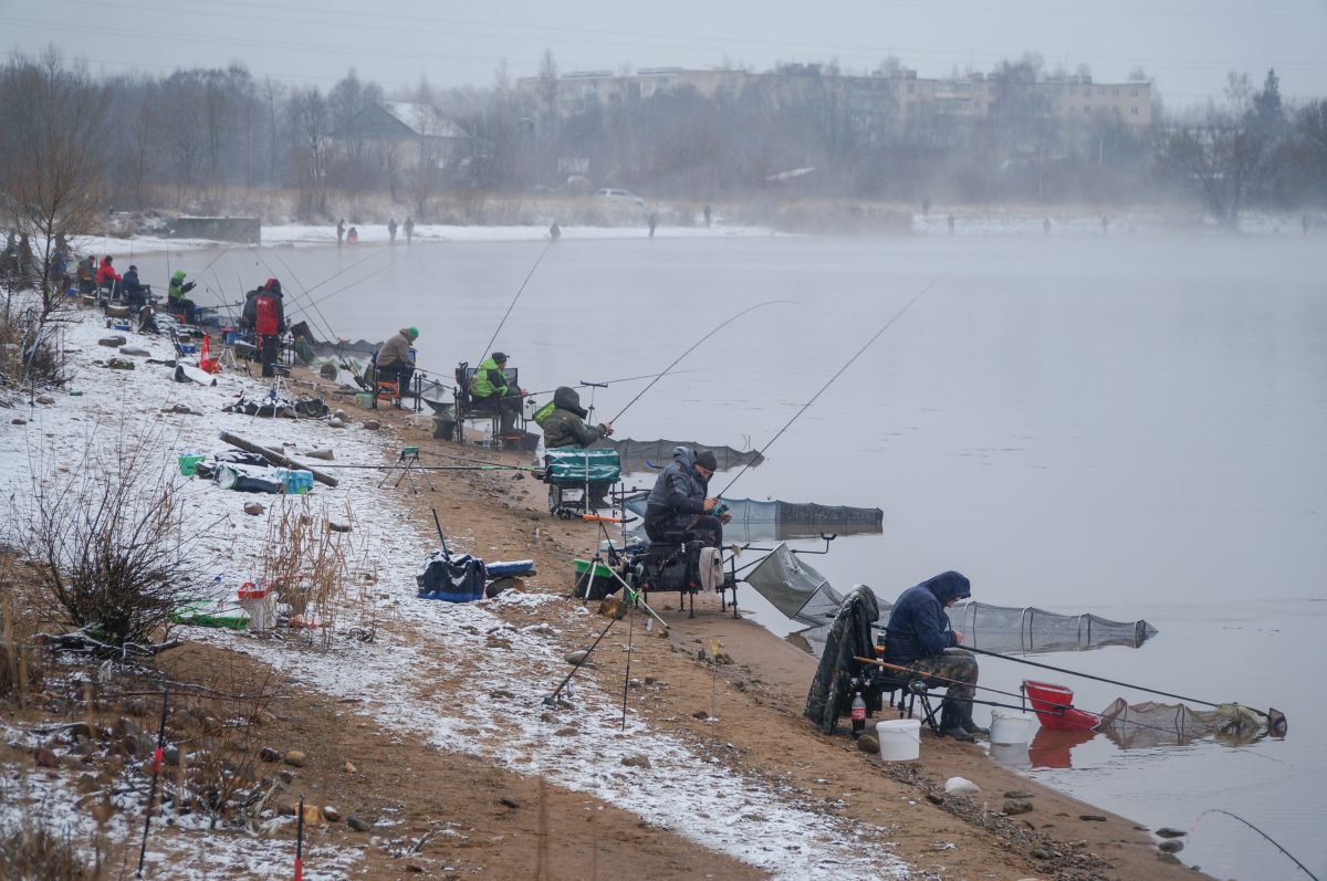 «Сумасшедшие» рыболовы поймали и отпустили в Тверской области полтора центнера рыбы