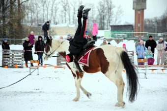 Трюки на лошадях и прыжки через огонь: на территории школы в Тверской области прошло конноспортивное шоу