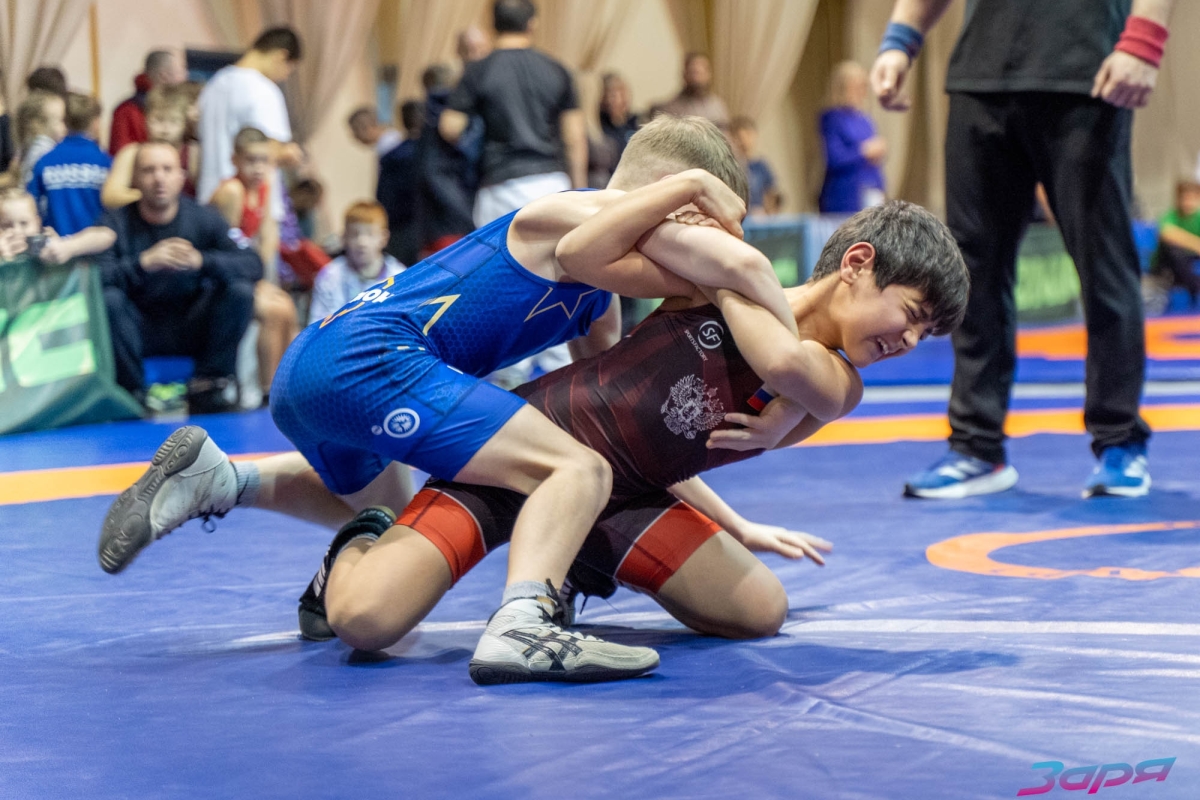 В Тверской области борцы из семи регионов сразились за награды турнира «За други своя»