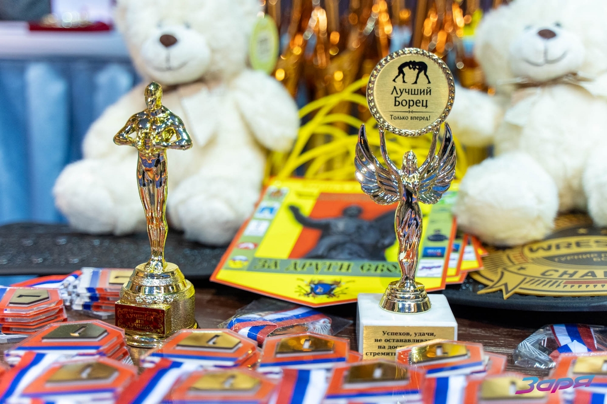 В Тверской области борцы из семи регионов сразились за награды турнира «За други своя»