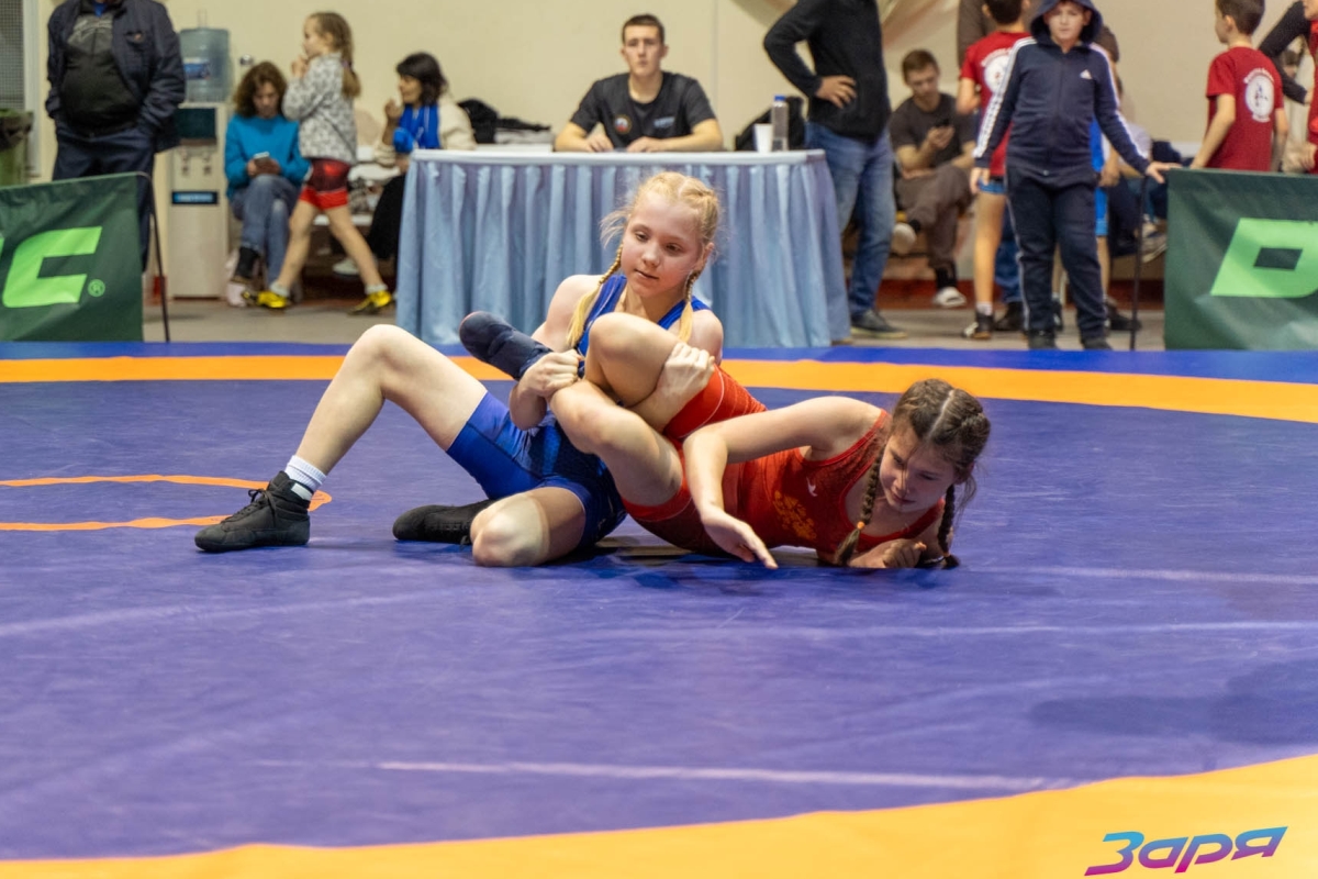 В Тверской области борцы из семи регионов сразились за награды турнира «За други своя»