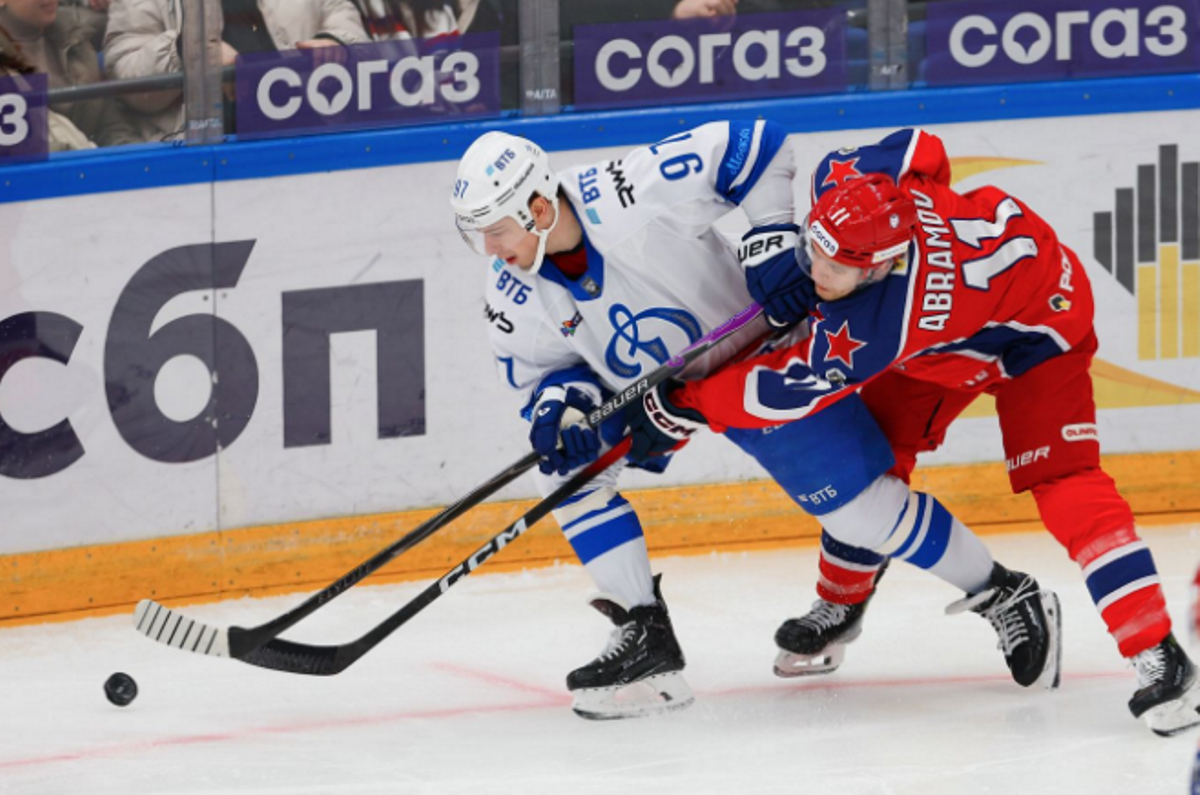 Позиции в хоккее: сколько игроков в команде и на льду