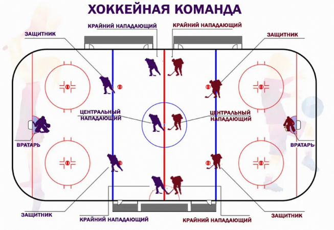 Позиции в хоккее: сколько игроков в команде и на льду