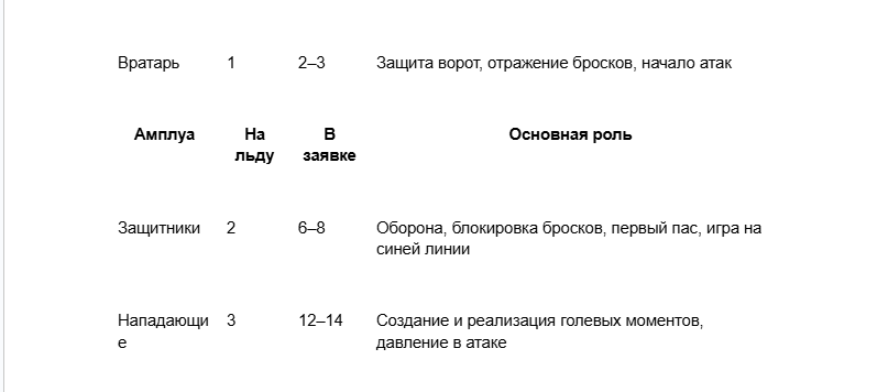 Позиции в хоккее: сколько игроков в команде и на льду