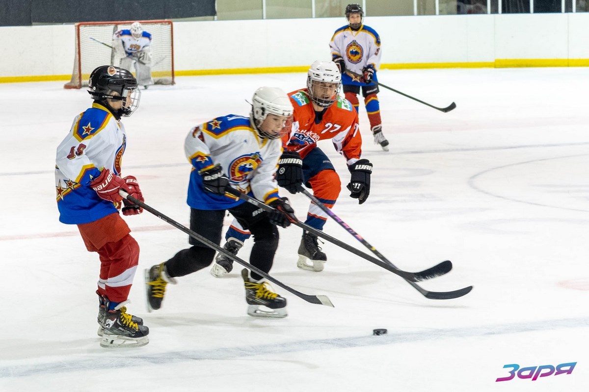 Новогоднее чудо на льду: в Тверской области «медвежата» сыграли в хоккей с «папами»