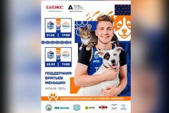 В Твери состоится первый благотворительный матч по баскетболу в поддержку бездомных животных